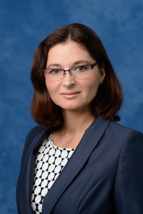 Elena Stelnova